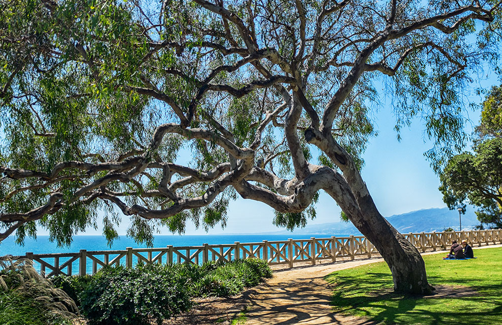 Palisades Park